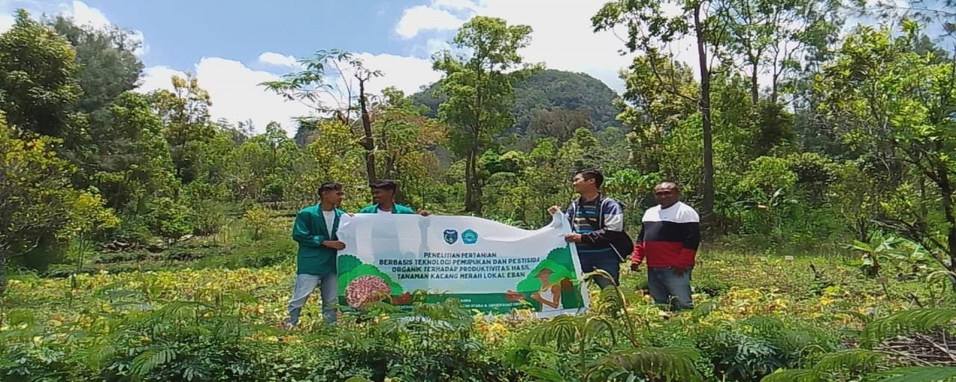 PENINGKATAN PRODUKSI KULTIVAR LOKAL JENIS KACANG MERAH LOKAL 