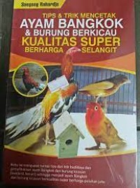 Tips & Trik mencetak ayam bangkok & burung berkicau kualitas super berharga selangit