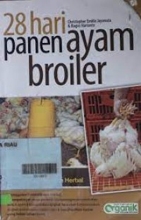 28 hari panen ayam broiler