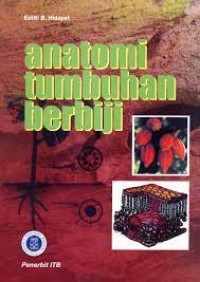 Anantomi tumbuhan berbiji