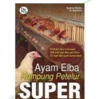 Ayam elba kampung petelur super