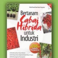 Bertanam cabai hibrida untuk industri