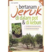 Bertanam jeruk di dalam pot & di kebun