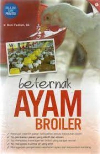 Beternak ayam broiler