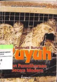 Beternak burung puyuh dan pemeliharaan secara modern