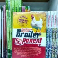 Budidaya ayam broiler 28 hari panen