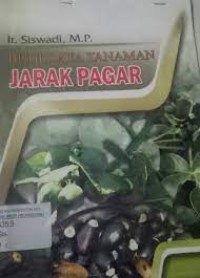 Budidaya tanaman jarak pagar