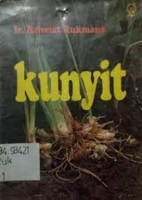 Kunyit