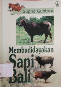 Membudidayakan sapi bali