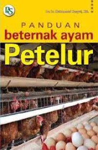 Panduan beternak ayam petelur