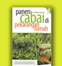 Panen cabai di pekarangan rumah