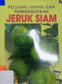 Peluang usaha dan pembudidayaan jeruk siam