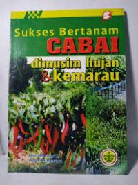 Sukses bertanam cabai dimusim hujan & kemarau