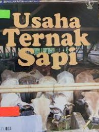 Usaha ternak sapi