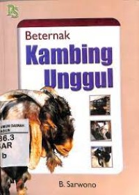 Beternak kambing unggul